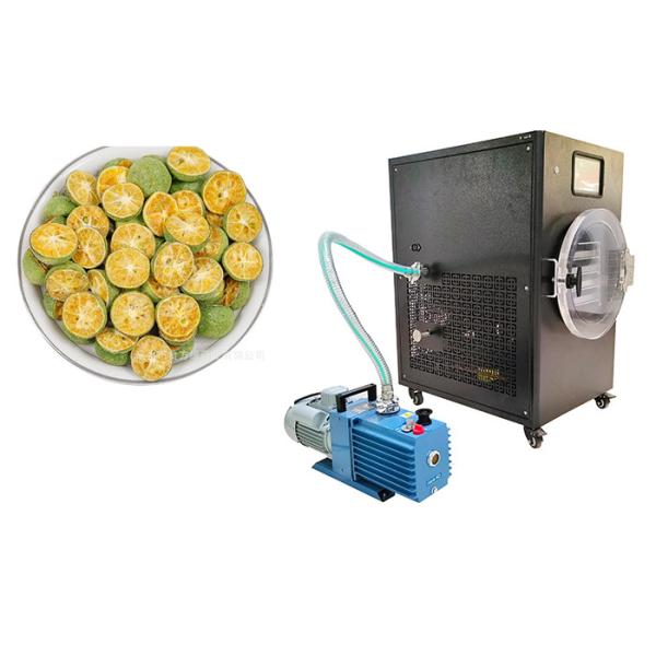 Buy cheap PLC Control 10Kg Home Freeze Dryer -50C To 50C Temperature Range from wholesalers