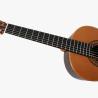 Buy cheap Yulong Guo A-Echoes Brand All Solid Nomex Double Top nylon string Classic Guitar from wholesalers