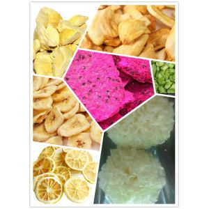 Low Noise Freeze Drying Machine For Strawberry Cassava Vegetable