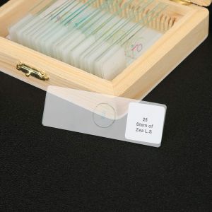Prepared Medical Lab Research 15pcs Tissue Microscope Slides
