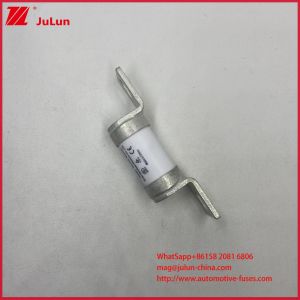 Variable Frequency 550AVDC Controller 50A 63A Vehicle Fuses RS308 Industrial