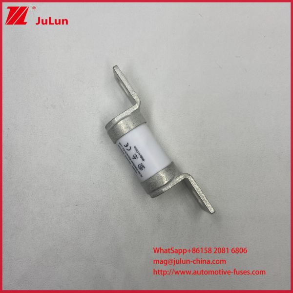Variable Frequency 550AVDC Controller 50A 63A Vehicle Fuses RS308 Industrial