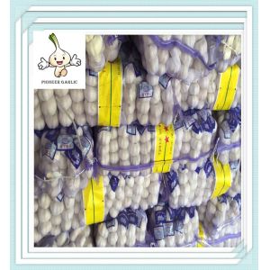 Buy cheap garlic export company China / cheap garlic fresh dry normal white red purple garlic from wholesalers