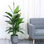 Buy cheap Anti UV Artificial Landscape Trees Paradise Bird Indoor Decor Natural Look Evergreen Plant from wholesalers