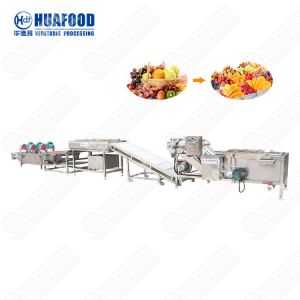 Professional Vegetable Washers Ginger And Turmeric Processing Line