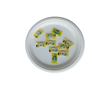Buy cheap 10 Inch Round Compostable Bagasse Disposable Plates product