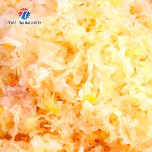 Buy cheap Pork Slices Sliced cooked pork head Cut the snow ear cooked meat slicer machine Vegetable and Meta Cutting Beef Pork Chicken Lamb Carrot from wholesalers