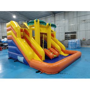 Commercial Inflatable Bounce House With Double Slides Inflatable Water Slides