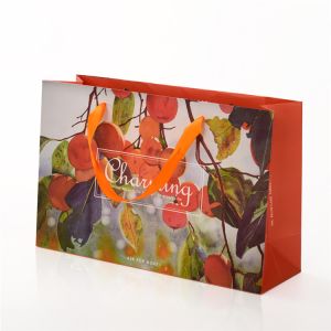 Buy cheap Reusable Paper Carrier Bags Custom Logo Printed With Ribbon Handle from wholesalers
