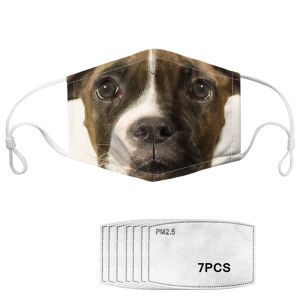 Buy cheap Reusable Dog Pattern Anti Pollution Printed Face Mask from wholesalers