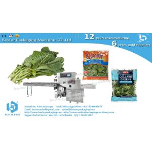 Buy cheap Greens cabbage leafy pouch packaging horizontal servo packing machine from wholesalers