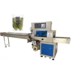Buy cheap Lettuce Fruit Vegetable Packing Machine , Green Leaf Vegetable Packing Machine from wholesalers