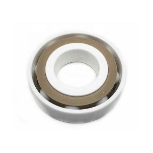 Dusty Proof ZrO2 7001 Angular Contact Ball Bearings