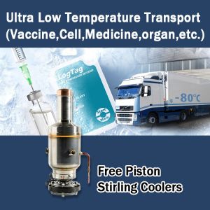 Stirling Cooling -130C Vaccine Cell Storage Transport for Ultra Low Temperature