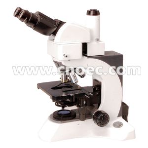 Buy cheap Compensation Free Binocular Infinity Plan Microscope 1000X , EWF10X - 20 CE A12.1025 from wholesalers