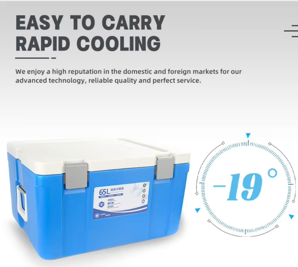65L Capacity Ice Cooler Box with 535*410*300mm Internal Size and 655*495*3655mm