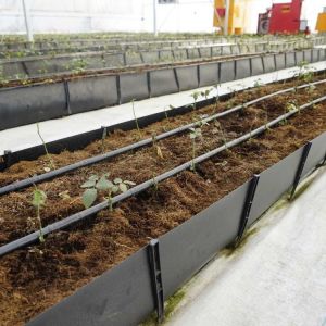 Buy cheap Soilless Growing System PP Growing Trough Colletcing Trough Black Growing product