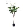 Buy cheap Fiddle Leaf Fig Plastic Plant Artificial Ficus Tree Interior Design Eco - Friendly from wholesalers