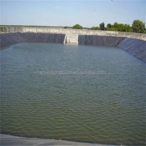 Waterproof HDPE Fish Pond Liner 30mil 60 mils Black Geomembrane for Water