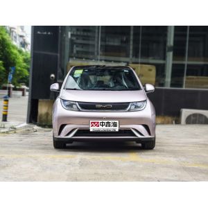 B YD Dolphin The 5 passenger hatchback electric with a great price is used for a