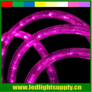 10mm 2 wire pink christmas decorative light led rope flex lights