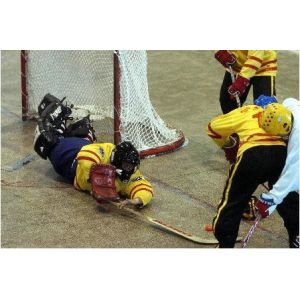 Buy cheap PP Safety Fencing Multi Sport Nets , Ice-Hockey Net 100gsm - 500gsm from wholesalers