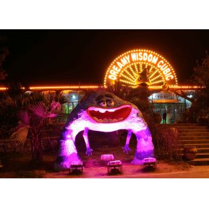 Controllable LED Pixel Light Digital RGB DC24V 6smd 5050 IP67