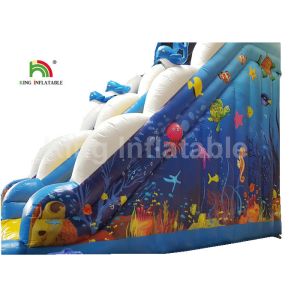 Puncture - Proof Ocean World Dolphin Inflatable Water Slide / Outdoor Inflatable