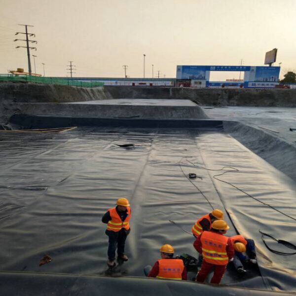 Quality Waterproof Smooth HDPE Geomembrane for Fish Pond Liner in Industrial Design Style for sale