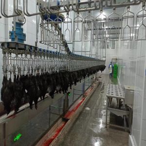 Buy cheap Customized Automatic Slaughtering Machine from wholesalers
