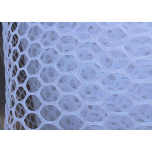 Quality 20X20mm 1.8cm hole Plastic Netting Mesh for sale