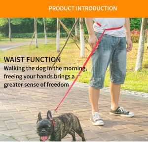 Outdoor Running Personalized Nylon Multifunctional Pet Dog Leash with One Drag
