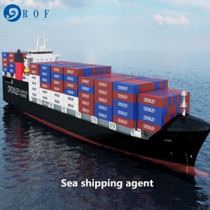 Buy cheap Cargo Duty Included DDP Sea Shipping From China To Canada from wholesalers