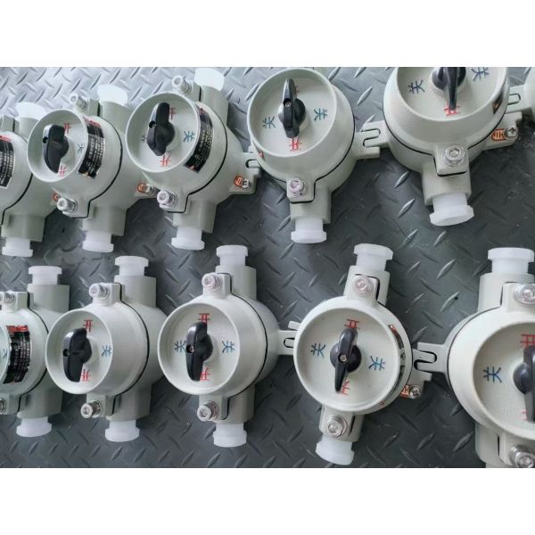 Quality Surface Mount 10A Explosion Proof Switch with G3/4 Cable Entry IP66 Ex Db IIC Protection for sale