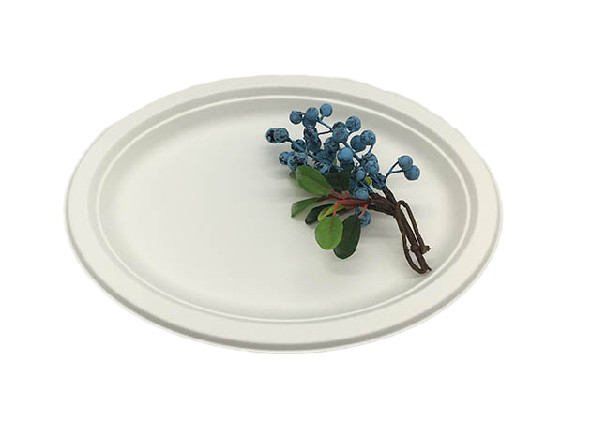 Buy cheap 10 Inch 515ml Oil Resistance Biodegradable Sugarcane Bagasse Plates from wholesalers