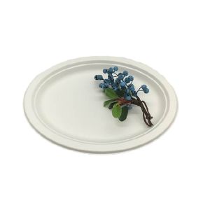 Buy cheap 10 Inch 515ml Oil Resistance Biodegradable Sugarcane Bagasse Plates from wholesalers