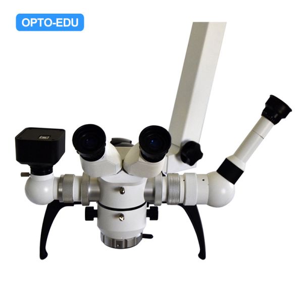 Quality 3X 50mm OPTO EDU Portable Dental Microscope for sale