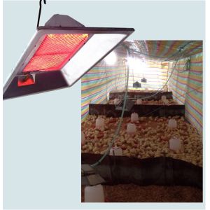 Buy cheap Incubator Infrared Gas Brooder CE Certificated For Chick Animal Husbandry from wholesalers