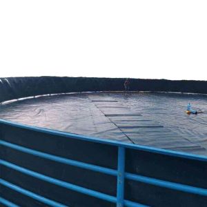 Reservoir Fish Pond Dock Engineering HDPE Geomembrane Linner with 0.2mm-3mm