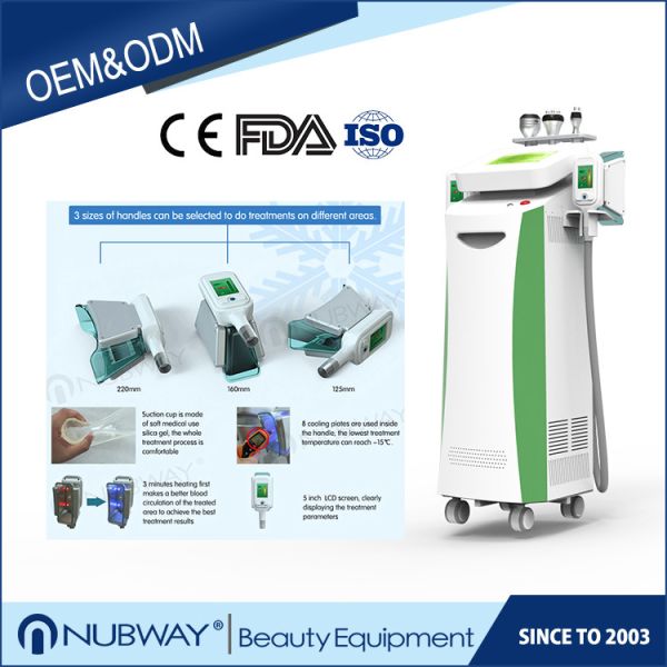 Quality CE approval top selling good result Cryolipolysis Slimming machine for sale