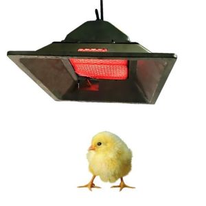 Buy cheap 4 Model Chicken Brooder Gas Heater LPG NG Biogas Gas Brooder In Poultry from wholesalers