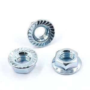 304 Stainless Steel Hexagon Spline Flange Nut DIN6923 Nylon Lock Building