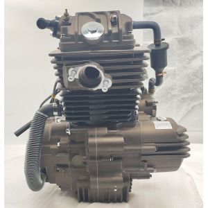 Fit ATV UTV Tricycle Motorcycle Engine Assembly for DAYANG LF 300cc Water Cooled