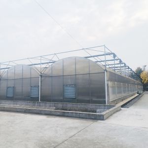 Buy cheap Vegetables Multi-span PE Film Plastic Greenhouse With Optional Cooling And Irrigation Systems from wholesalers