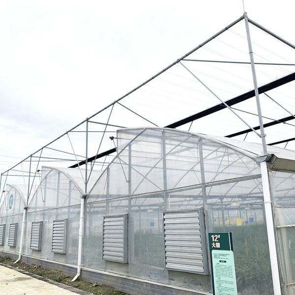 Sawtooth Plastic Film Multi-span Poly Tunnel Vegetable Hothouse Greenhouse For