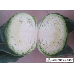 Buy cheap No Pesticide Fresh Flat Head Cabbage , Nutrition Mini Drumhead Cabbage from wholesalers