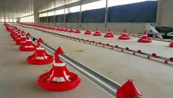 Accuracy 2g Chicken Feeding Line PLC Automatic Broiler Feeding System