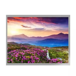 China MVA 10.4 Inch TFT LCD Display G104X1-L04 LVDS Interface TFT LCD Module on sale China MVA 10.4 Inch TFT LCD Display G104X1-L04 LVDS Interface TFT LCD Module on sale