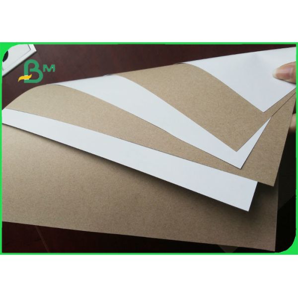 Quality Clay Coated Duplex Board / Coated Paper Board 140gsm 170gsm Carton Paper for sale