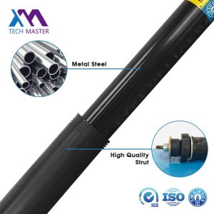 2103202930 Mercedes Benz E210 Coil Spring Shock 1995-2001 Front Auto Parts Shock